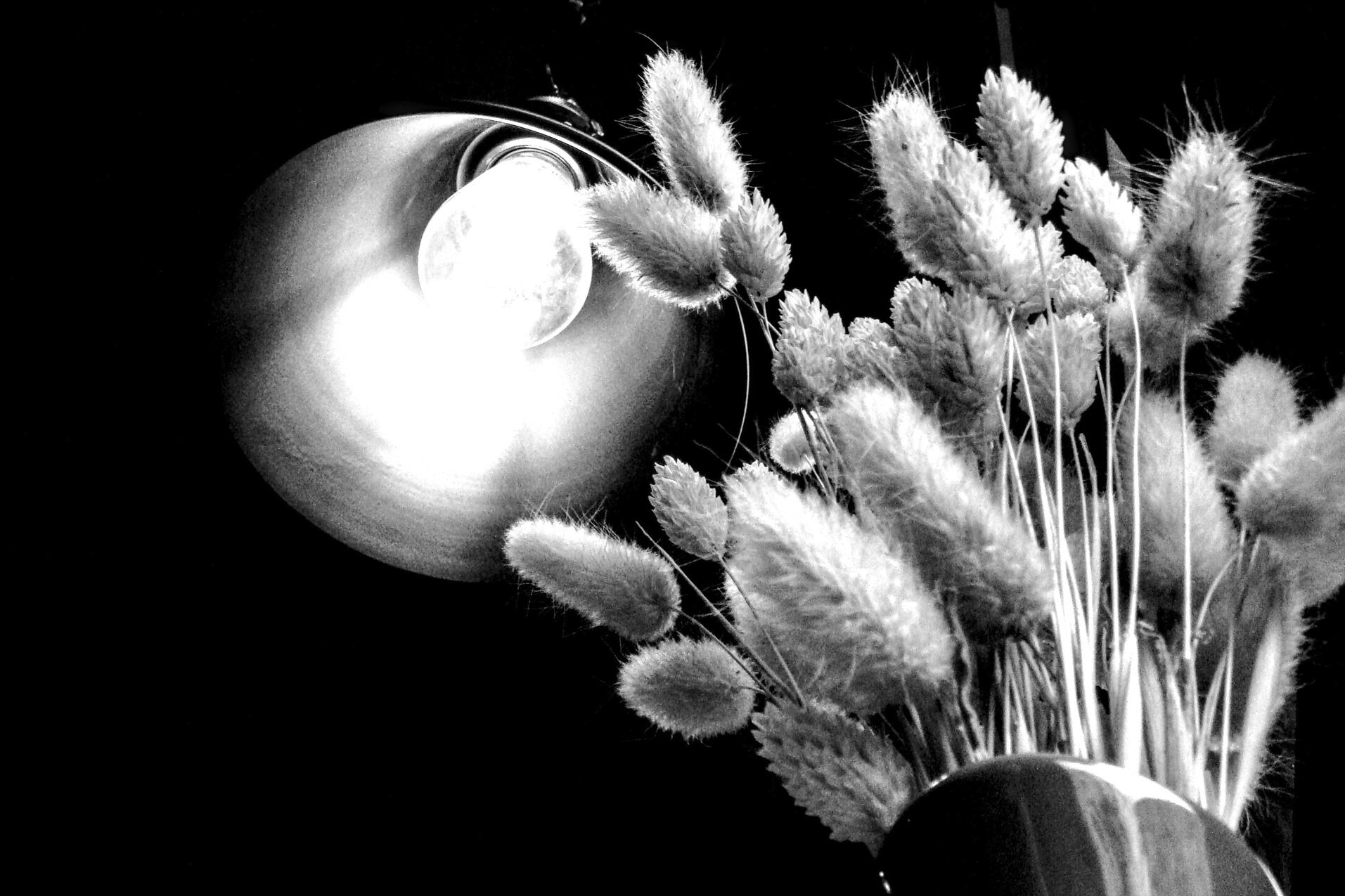 The blind receive sight. A random coffee spot on the streets of Kyiv, Ukraine, March 2025. Shot on Sony DSC-T100.